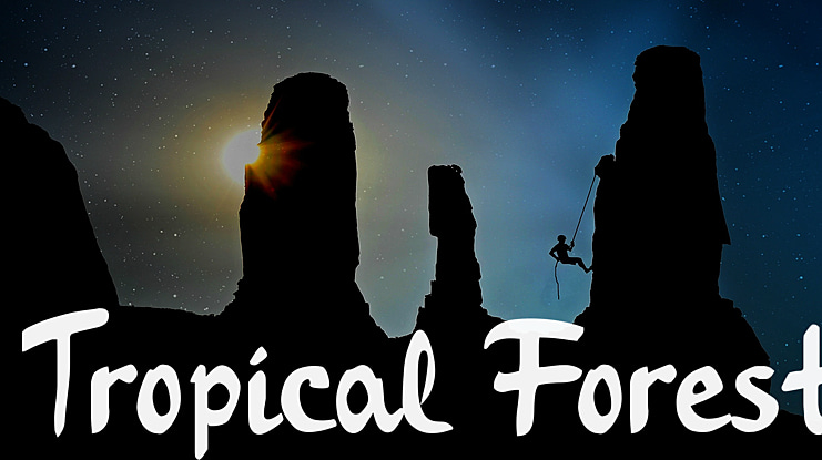 Tropical Forest Font