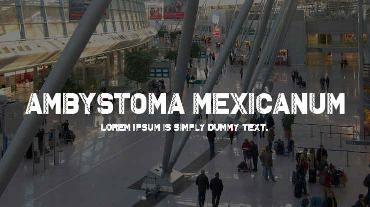 Ambystoma Mexicanum Font