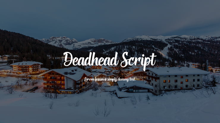 Deadhead Script Font Family