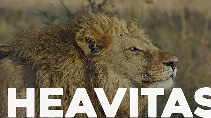 Heavitas Font