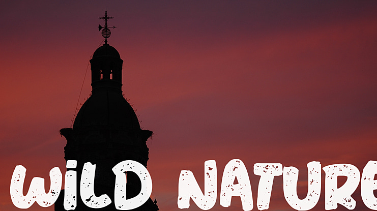 Wild Nature Font