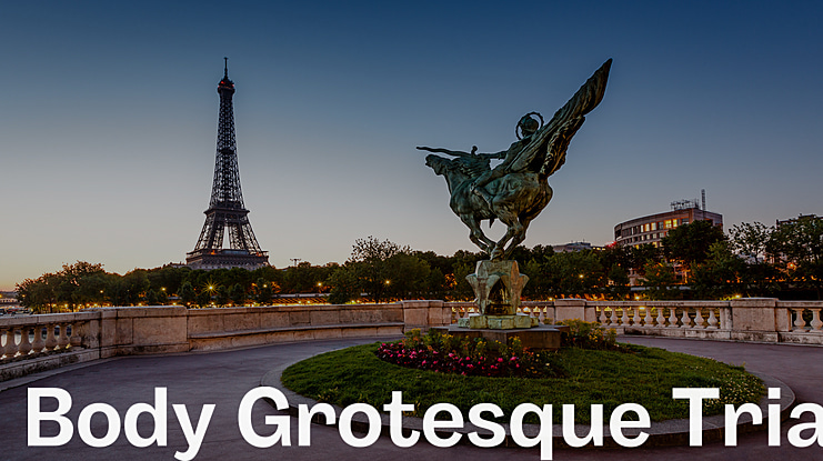 Body Grotesque Trial Font Family