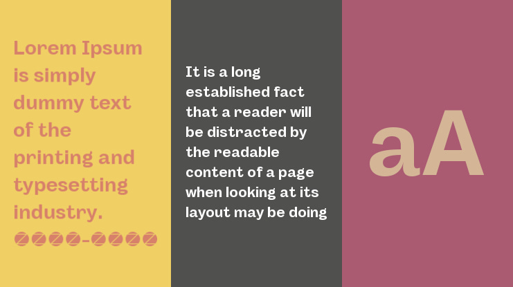 Body Grotesque Trial Font Family