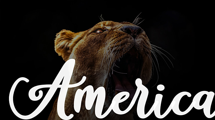 America Font Family