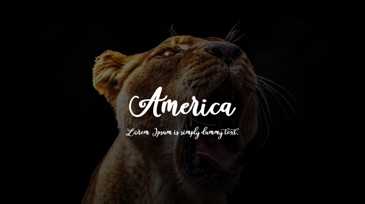 America Font Family