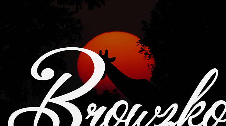 Browzko Font