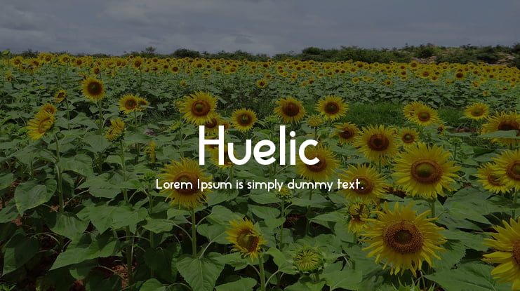 Huelic Font Family