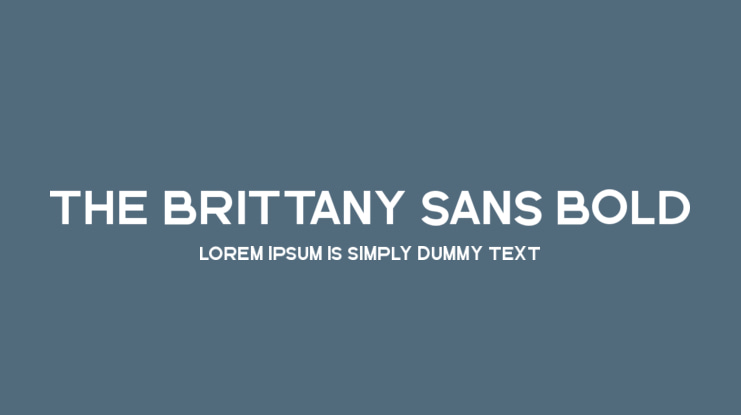 The Brittany Sans Bold Font Family