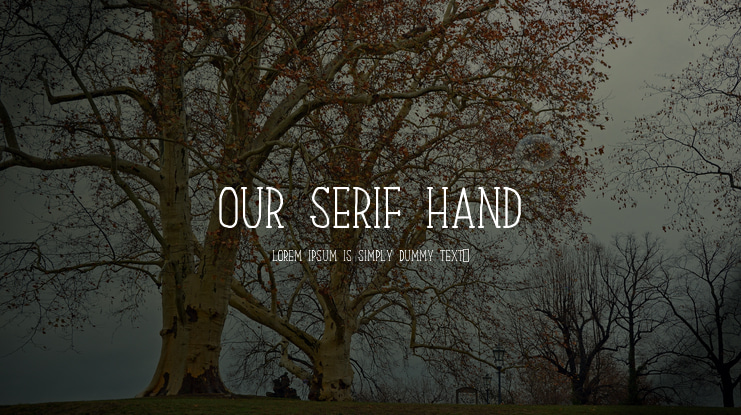 Our Serif Hand Font