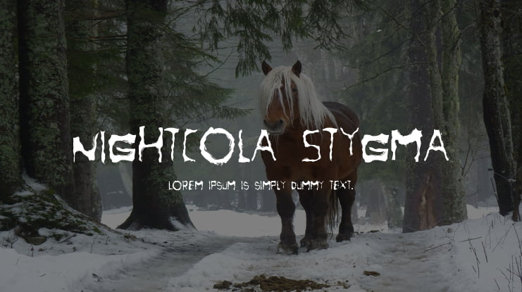 NightCola Stygma Font