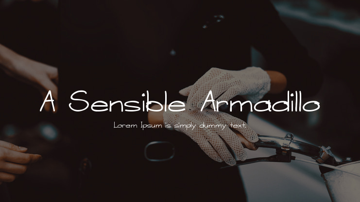 A Sensible Armadillo Font