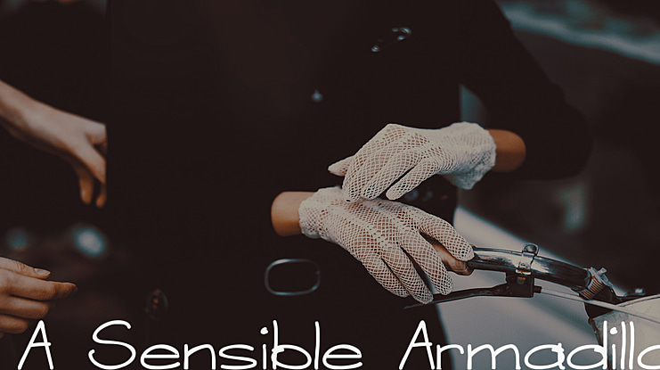 A Sensible Armadillo Font