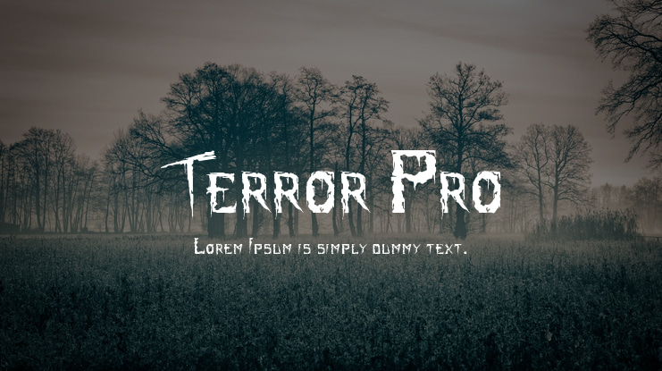 Terror Pro Font