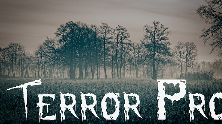 Terror Pro Font