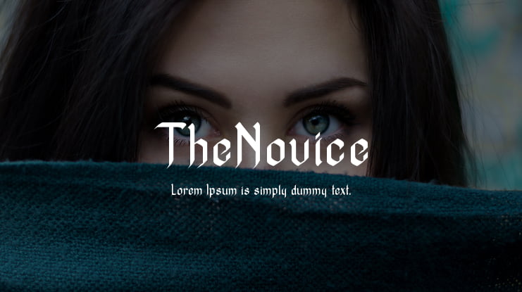 TheNovice Font
