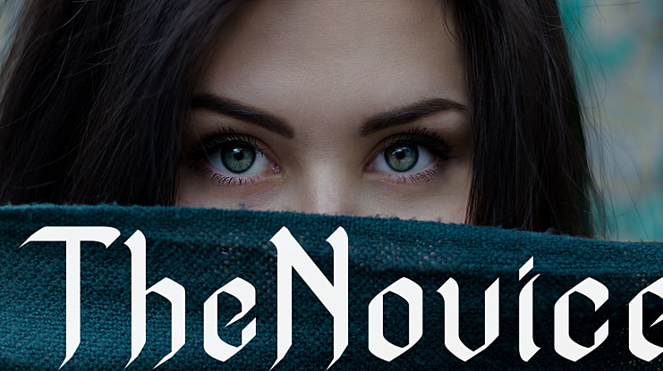 TheNovice Font