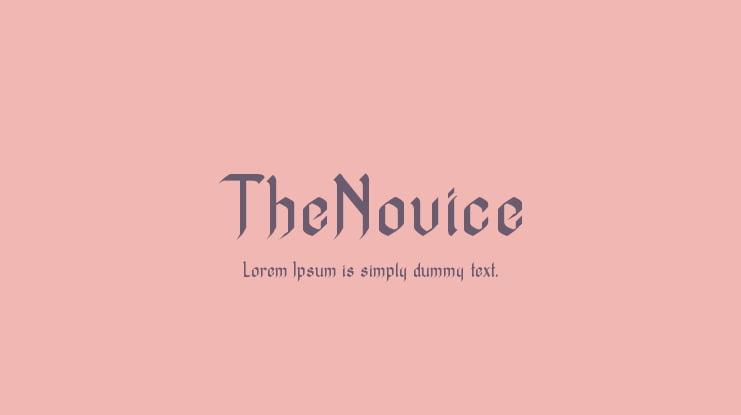 TheNovice Font