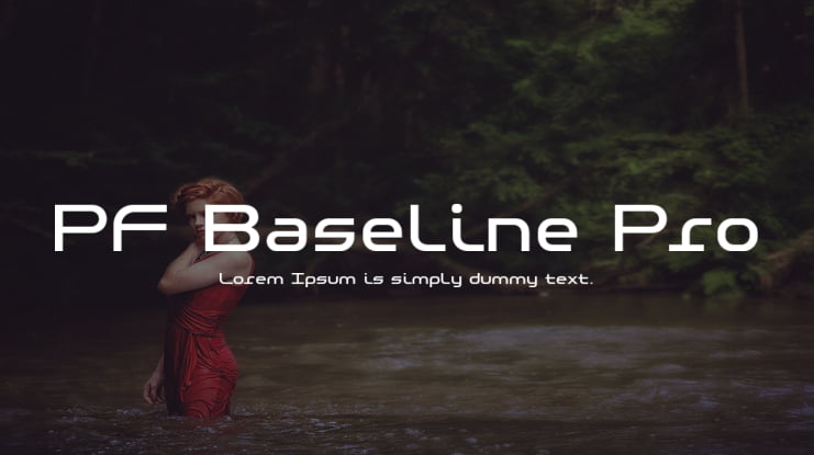 PF Baseline Pro Font Family