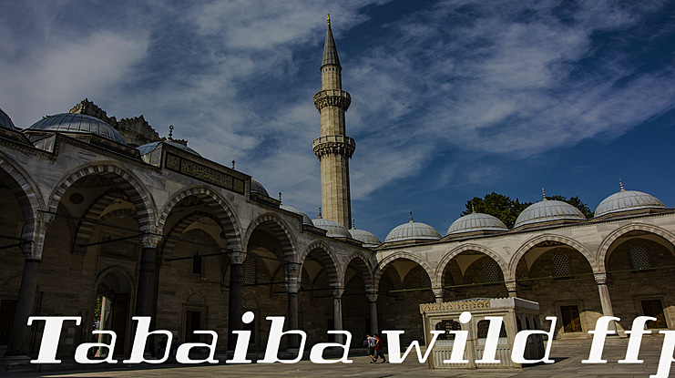 Tabaiba wild ffp Font Family