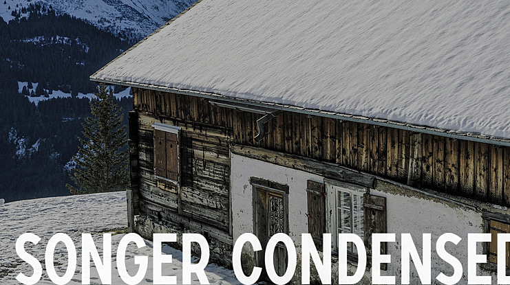 SONGER Condensed Font Family