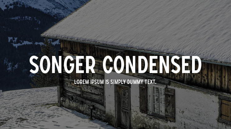 SONGER Condensed Font Family