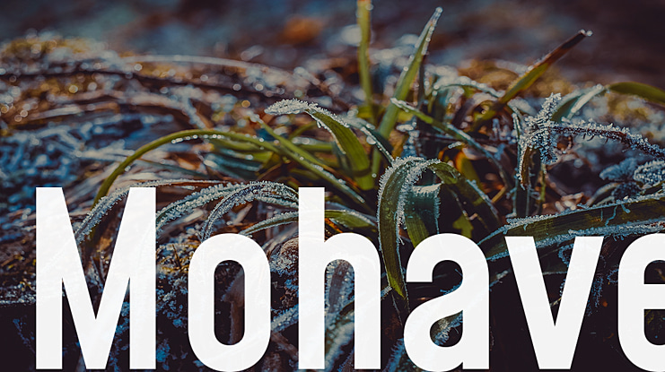 Mohave Font Family