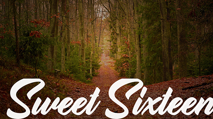 Sweet Sixteen Font