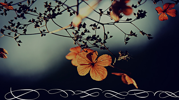 Medish Deco PERSONAL USE ONLY Font Family