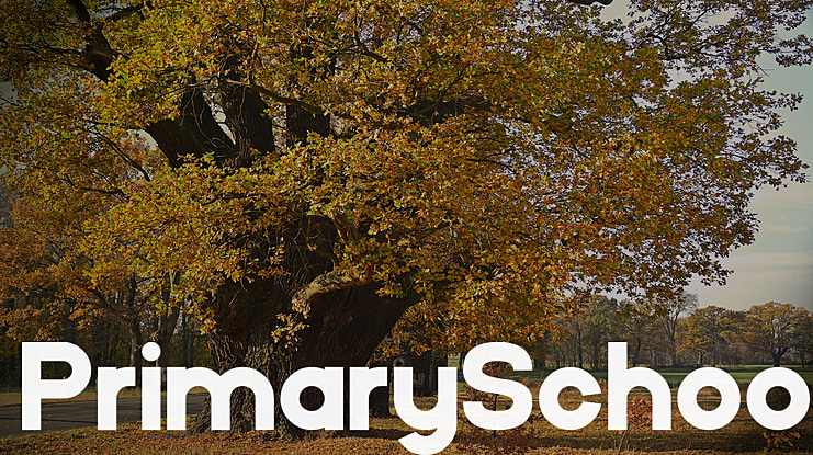 PrimarySchool Font