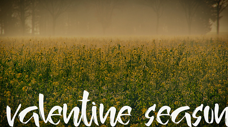 valentine season Font