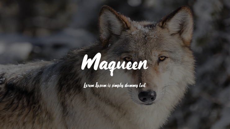 Maqueen Font Family