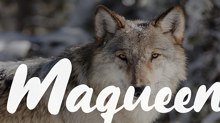 Maqueen Font Family