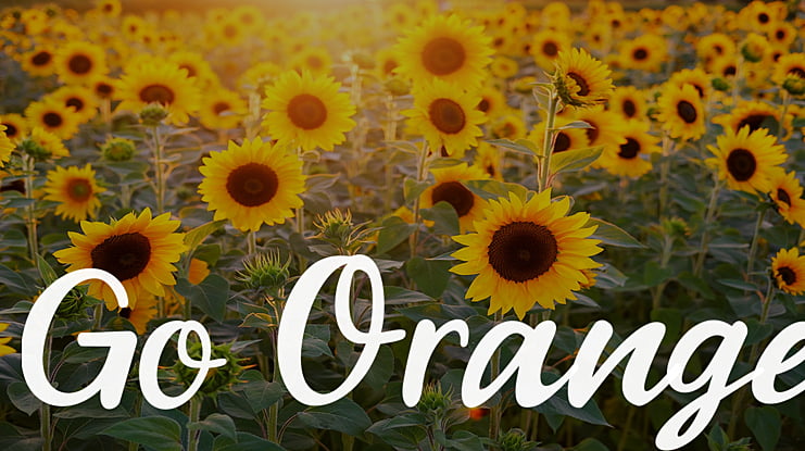 Go Orange Font