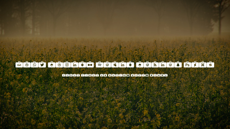 Font Social Media Series 2018