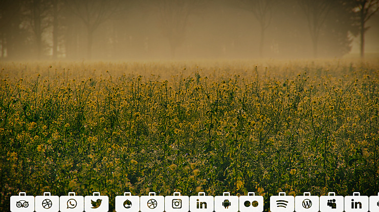 Font Social Media Series 2018