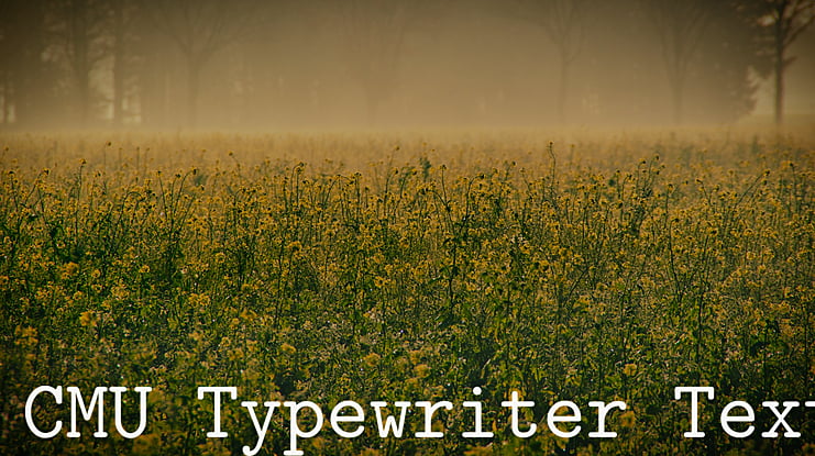 CMU Typewriter Text Font Family