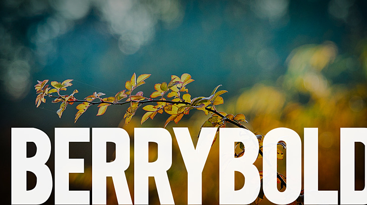 BERRYBOLD Font