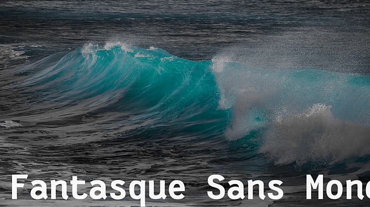 Fantasque Sans Mono Font Family