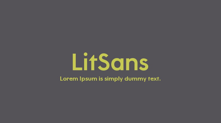 LitSans Font
