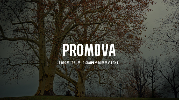 PROMOVA Font Family
