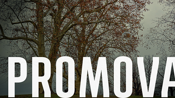 PROMOVA Font Family