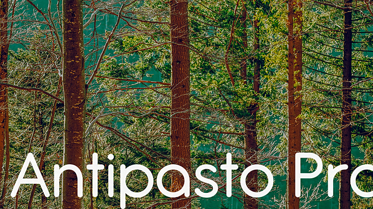 Antipasto Pro Font Family