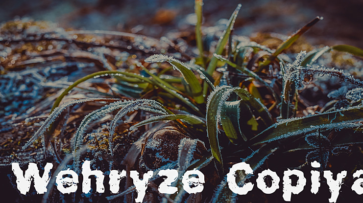 Wehryze Copiya Font