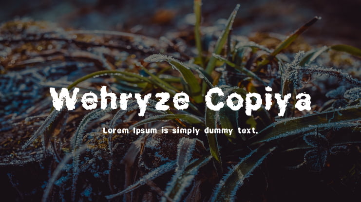 Wehryze Copiya Font