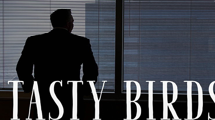 Tasty Birds Font Family