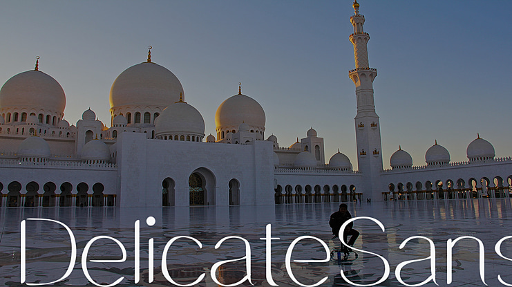 DelicateSans Font Family