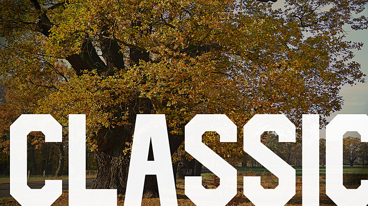 CLASSIC Font Family