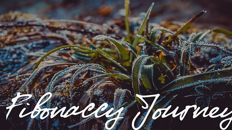 Fibonaccy Journey Font