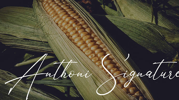 Anthoni Signature Font