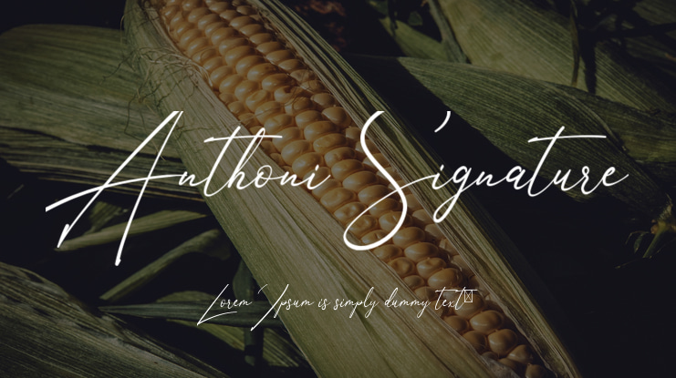 Anthoni Signature Font